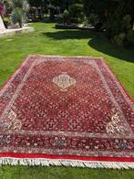 Top Indo Bidjar - Tapijt - 350 cm - 250 cm, Nieuw