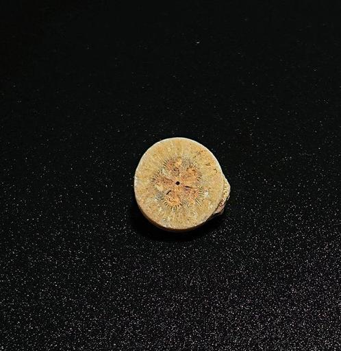 Oude Egypte, Ptolemeïsch rozetschijf (3). Spaanse, Verzamelen, Mineralen en Fossielen