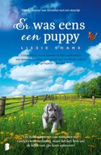 Er was eens een puppy / Pine Hollow / 2 9789022594643, Verzenden, Zo goed als nieuw, Lizzie Shane