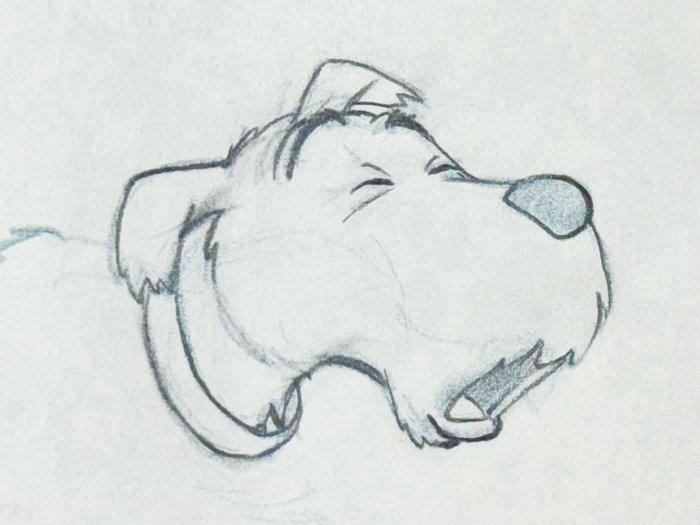 Tintin - 1 Oorspronkelijke productietekening van Milou - We, Boeken, Stripboeken