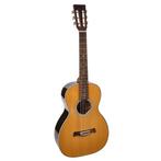 Richwood P-65-VA Master Series handgemaakte Parlor gitaar, Muziek en Instrumenten, Snaarinstrumenten | Gitaren | Akoestisch, Ophalen of Verzenden
