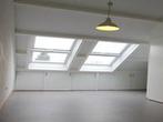 Studio Groen van Prinstererstraat in Sittard, Overige soorten, Limburg