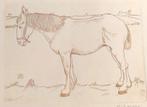 Jan Mankes (1889-1920) - Paard