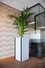 Akoestische plantenbak, 46,5x46,5x110cm, Ophalen of Verzenden, Nieuw in verpakking