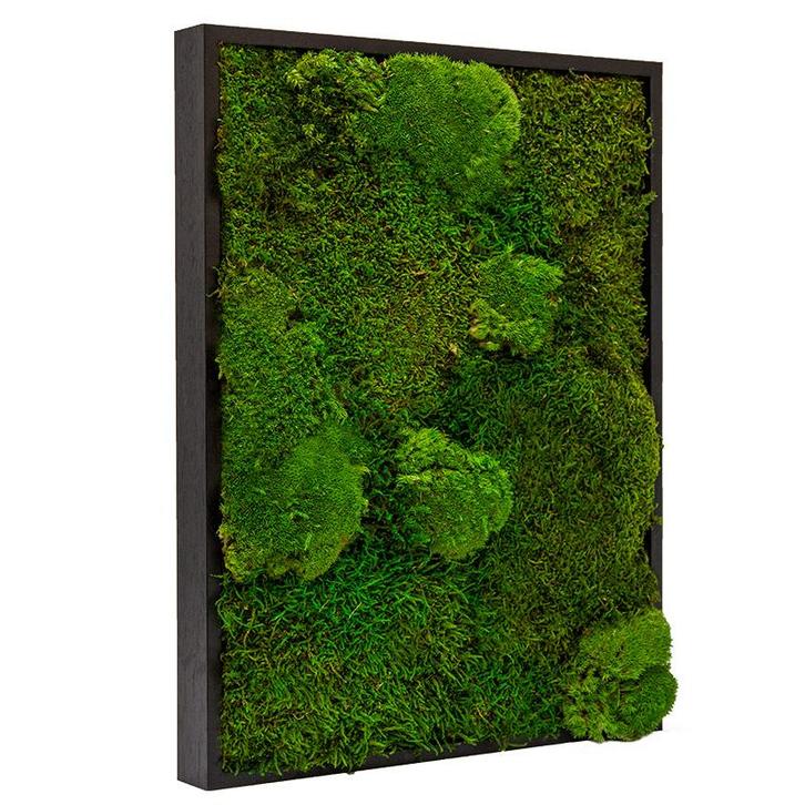 Vintlux Mosschilderij Lappenmos-Bolmos 30x40 cm Zwart - Bor, Huis en Inrichting, Woonaccessoires | Lijsten
