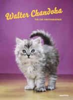 Walter Chandoha 9781597114530 David LaSpina, Verzenden, Zo goed als nieuw, David LaSpina