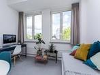 Studio Bassin in Maastricht, Overige soorten, Limburg