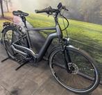 Pegasus Premio Evo 5F Lite Elektrische fiets – Bosch CX DEMO, Fietsen en Brommers, Elektrische fietsen, Overige merken, Ophalen of Verzenden