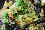 TOP grote EMERALDS met zwarte TOERMALINE kostbaar specimen -