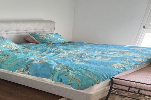 Kamer Kraaijensteinpark in Nieuw-Vennep, Huizen en Kamers, Kamers te huur, 20 tot 35 m², Overige regio's