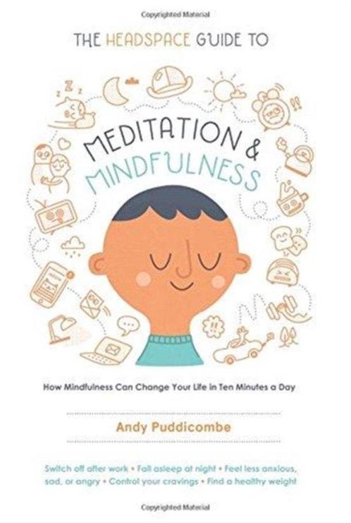 9781250104908 The Headspace Guide to Meditation and Mindf..., Boeken, Studieboeken en Cursussen, Zo goed als nieuw, Verzenden