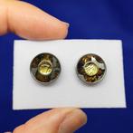 Pallasiet + ijzeren meteoriet (goud verguld) oorbellen De