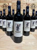 2016 Mas de Martin Roi Patriote - Languedoc - 12 Flessen, Verzamelen, Nieuw