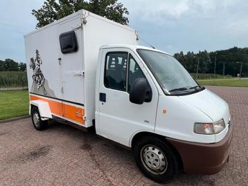 Leuke Peugeot instap paardenwagen! beschikbaar voor biedingen