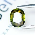 Zonder Minimumprijs Tweekleurig Saffier - 1.81 ct -, Nieuw