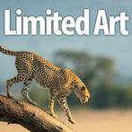 Wanddecoraties - Limited art - Grootformaat diBond platen