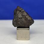 ANGRITE METEORITE - Het oudste Plutisch gesteente in het, Verzamelen, Mineralen en Fossielen