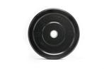 Bumper plate 25kg, Sport en Fitness, Fitnessmaterialen, Nieuw, Ophalen of Verzenden