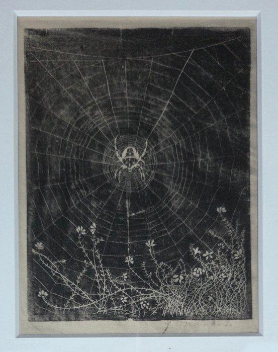Jan Mankes (1889-1920) - Spin in web. Ingelijst., Antiek en Kunst, Antiek | Overige Antiek