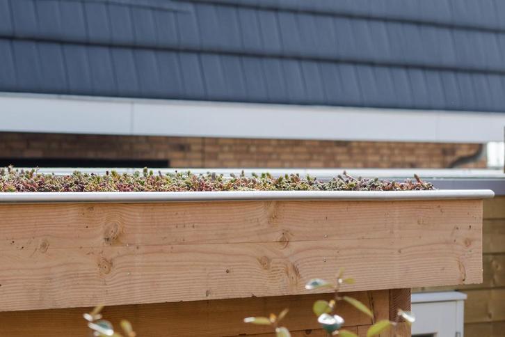 Douglas overkapping, 500 x 300, met achterwand en twee, Tuin en Terras, Overkappingen