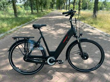 Amslod Newton F-LV | Nieuw | Garantie beschikbaar voor biedingen