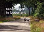 9789023258872 Kraanvogels in Nederland Herman Feenstra, Boeken, Verzenden, Nieuw, Herman Feenstra