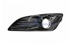 Ford Fiesta 2013-2017 Grill Mistlamp Kap Glans Zwart Links, Ophalen of Verzenden, Nieuw, Ford USA