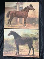 Otto Eerelman (after) - Two horse breed lithographs: