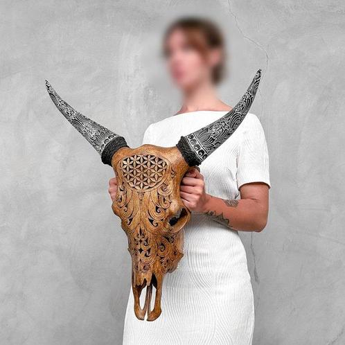 GEEN RESERVEPRIJS - Gegraveerde Bruine Koeienschedel met, Antiek en Kunst, Kunst | Designobjecten