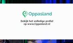 Ik ben Lenz, 17 jaar oud en ik zoek oppaswerk in Zoetermeer.