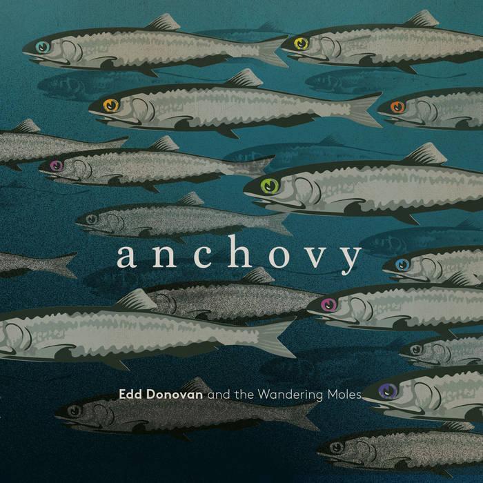 cd - Edd Donovan - Anchovy, Cd's en Dvd's, Cd's | Country en Western, Zo goed als nieuw, Verzenden