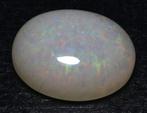 Zonder Minimumprijs Wit Opaal - 14.52 ct - Instituto, Nieuw
