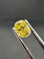 1 pcs Diamant (Natuurlijk gekleurd) - 0.32 ct - Fancy, Sieraden, Tassen en Uiterlijk, Edelstenen, Nieuw