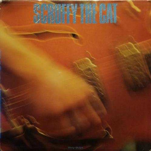 LP gebruikt - Scruffy the Cat - Tiny Days, Cd's en Dvd's, Vinyl | Rock, Zo goed als nieuw, Verzenden