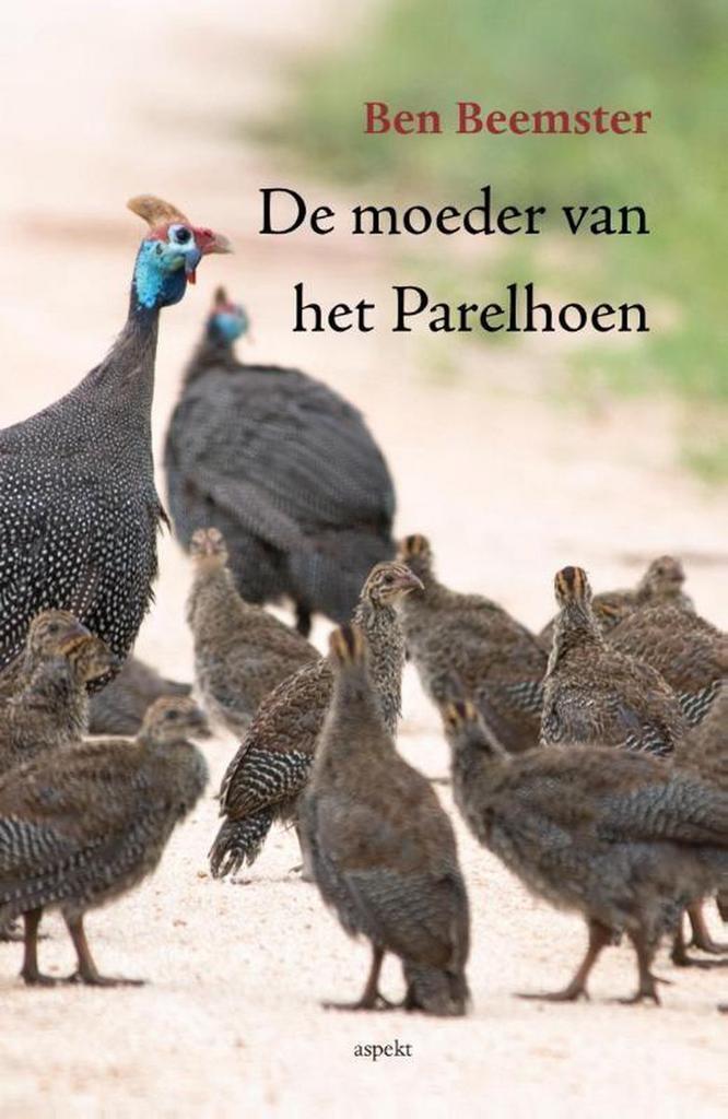 De moeder van het Parelhoen 9789461537126 Ben Beemster, Boeken, Geschiedenis | Wereld, Gelezen, Verzenden