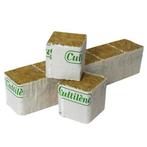 CULTILENE STEKBLOKKEN 4X4X4CM MET PLANTGAT Ø 4 X 10 MM DO.., Ophalen of Verzenden, Nieuw