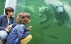 Ticket(s) Ouwehands Dierenpark | Nu € 24,50, Drie personen of meer, Ticket of Toegangskaart