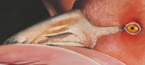 Danka Weitzen - fenicottero, Antiek en Kunst, Kunst | Schilderijen | Modern