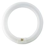 OP=OP Bailey LED TL-E 11W/840 | vervangt Philips TL-E 22W..., Ophalen of Verzenden, Nieuw