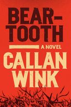 9781954118027 Beartooth Callan Wink, Verzenden, Nieuw, Callan Wink