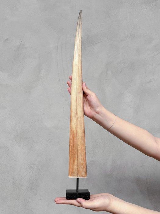 Geen onderbiedprijs - Een zwaardviskievertje gemonteerd op, Antiek en Kunst, Kunst | Designobjecten