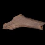 Neolithisch Zeer zeldzaam met houten bijl en hamer gesneden, Antiek en Kunst