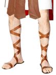 Romeinse Sandalen (schoenen, Laarzen, Accessoires)