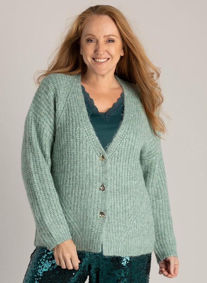 Yest Curve vest Hermine Maat:, Kleding | Dames, Truien en Vesten, Overige kleuren, Nieuw, Verzenden