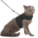 Kattentuigje met Leiband – 2 Meter – Zwart – Comfortabel en, Dieren en Toebehoren, Honden-accessoires, Verzenden, Nieuw