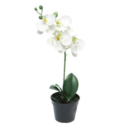 Phalaenopsis Bora x1 in pot 35 cm, Huis en Inrichting, Woonaccessoires | Kunstplanten en Kunstbloemen, Nieuw, Ophalen of Verzenden