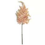 (Best) Astilbe tros roze 70cm, Ophalen of Verzenden, Nieuw