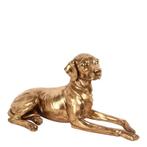 XL Beeld Hond Goud | 36x25x70cm, Nieuw, Verzenden