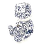 Naor (XX) - DIOR - Luxury Bear