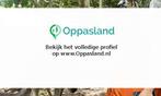 Ik ben Anouk, 25 jaar oud en ik zoek oppaswerk in Nijmegen., Diensten en Vakmensen, Dieren | Paarden | Verzorging, Oppas en Les